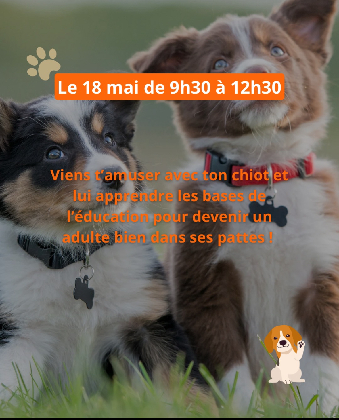 Cours et balades